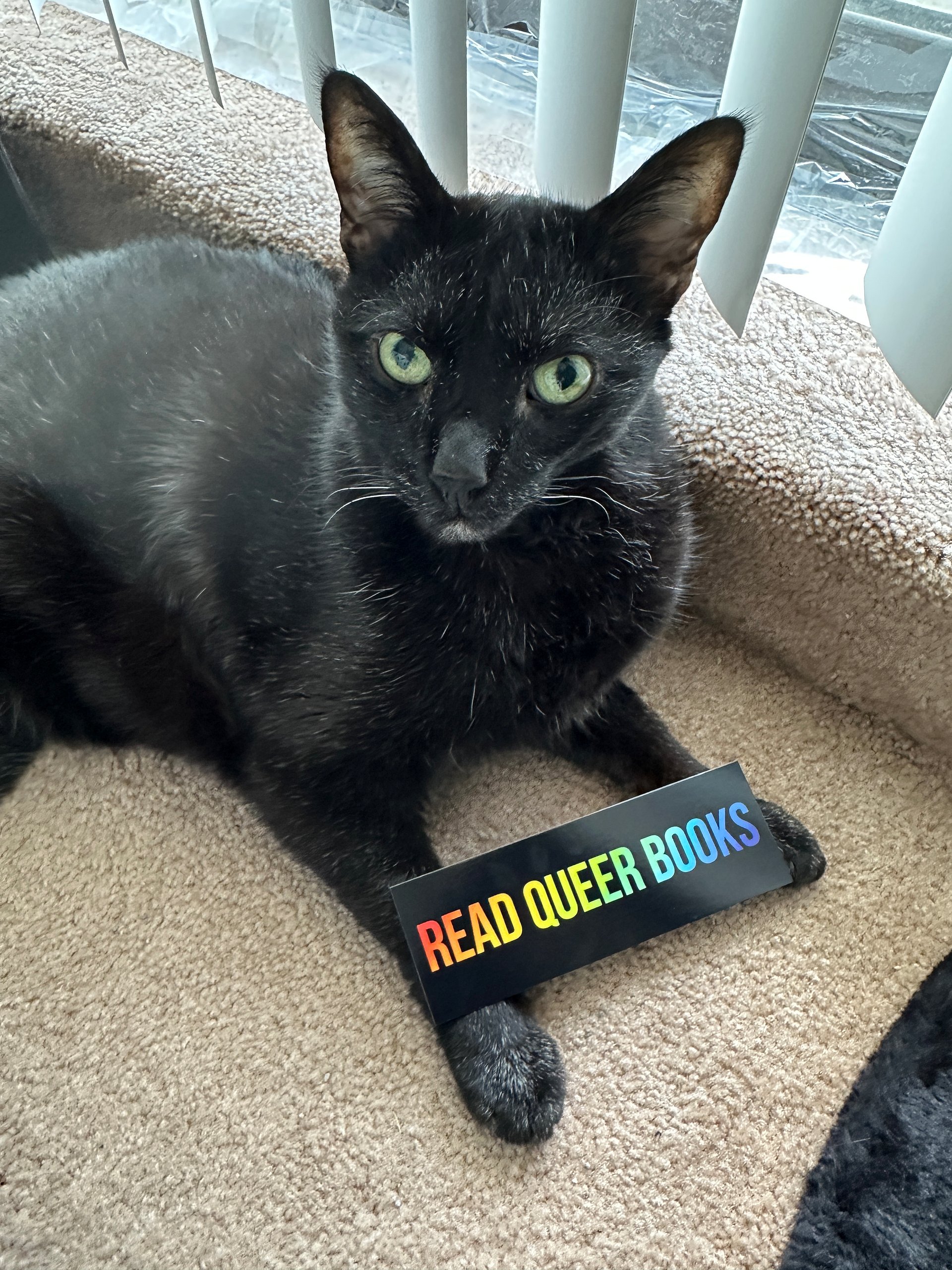 Read Queer Books bookmark product image (2)