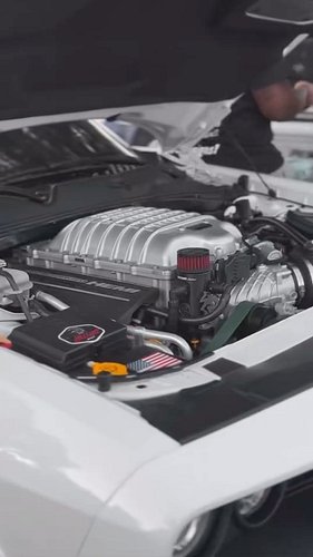 Hashtag Certified #srtifed ⭐️