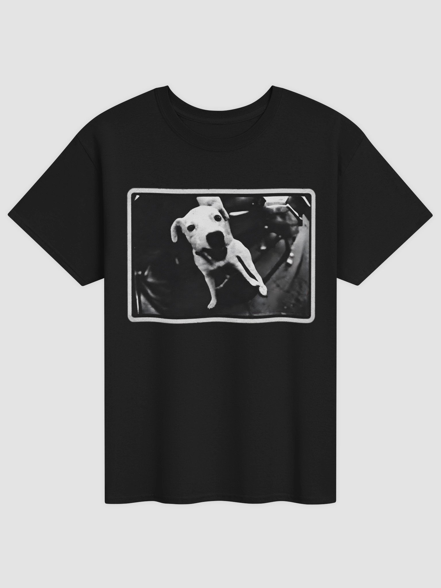 Malcolm in the Middle Dog Shirt – Pilot Episode Vintage Graphic Tee product image (2)