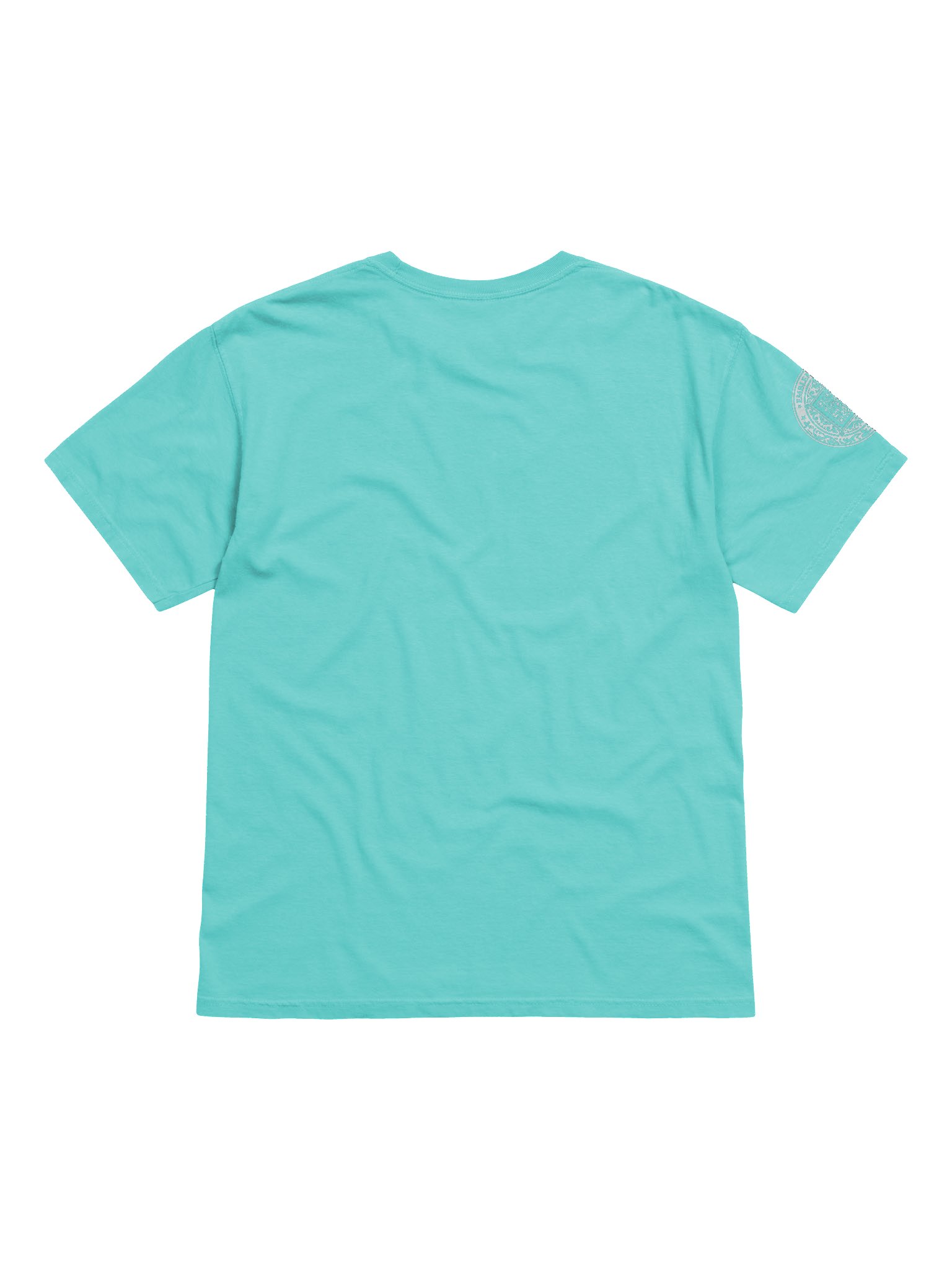 Blind to the Beyond (White on Color) product image (82)