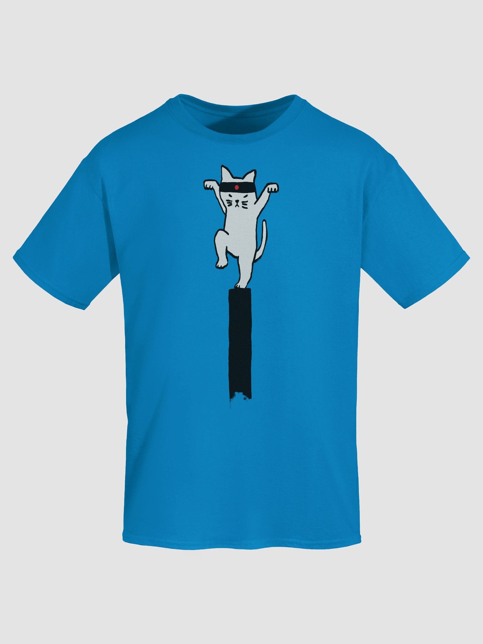 Karate cat graphic t-shirt product image (43)