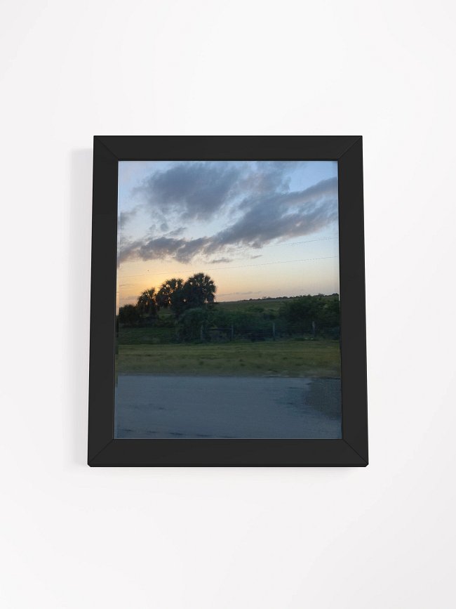 Framed Posters