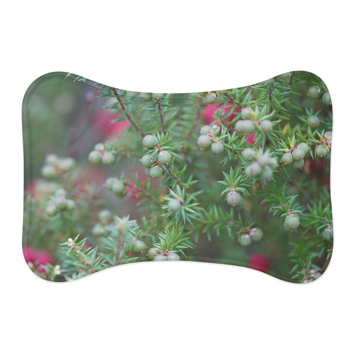 Plant with Berries Pet Feeding Mats product image (1)