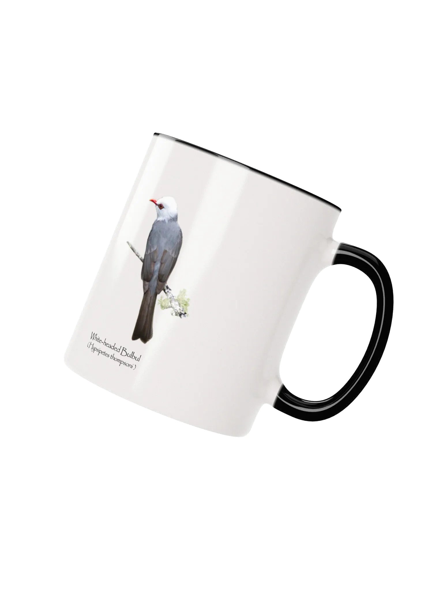 White-headed Bulbul mug product image (19)