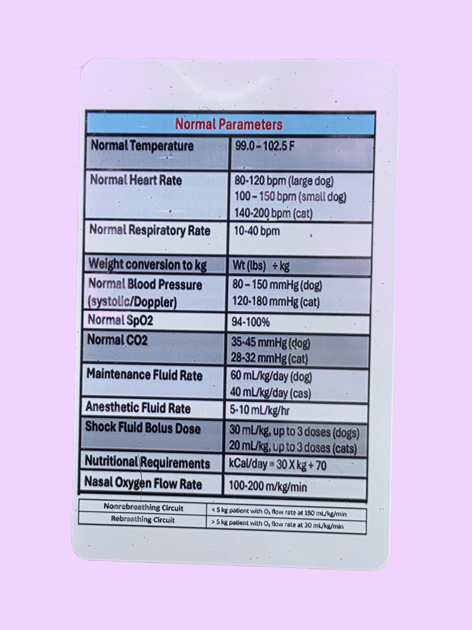 Vet/Vet Tech/Vet Nurse Badge Cheat Sheets product image (2)