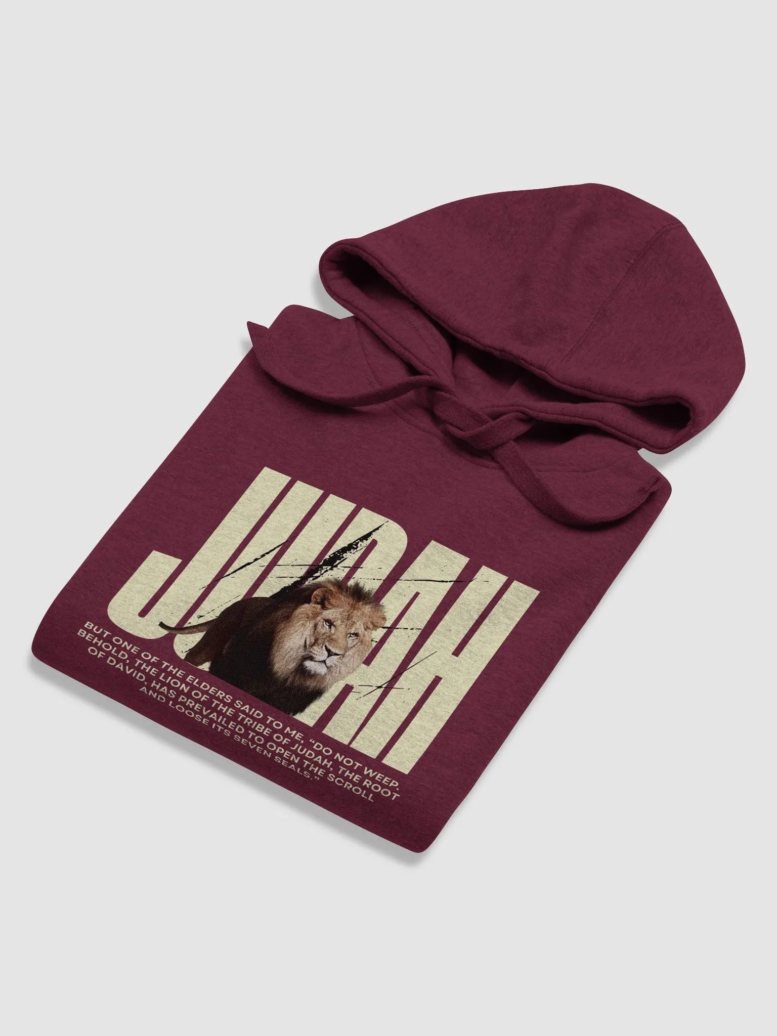 Lion of Judah Premium Hoodie product image (3)