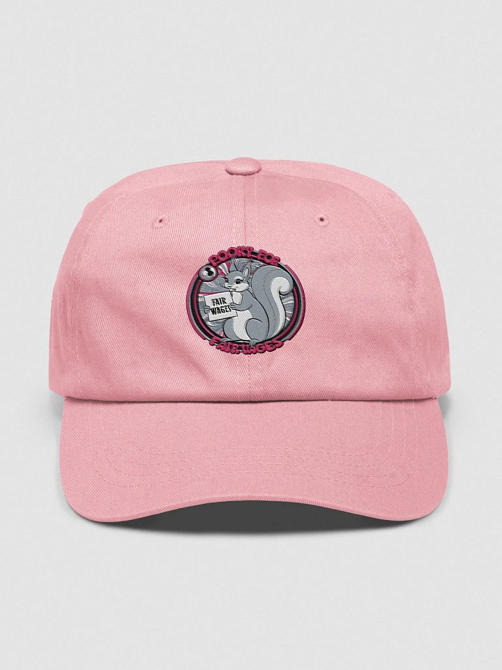 Baseball Hat, Embroidered: Pooky For Fair Wages product image (1)