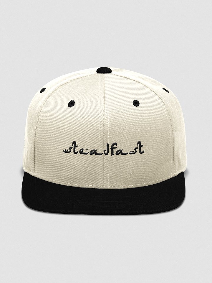 SteadFast product image (3)