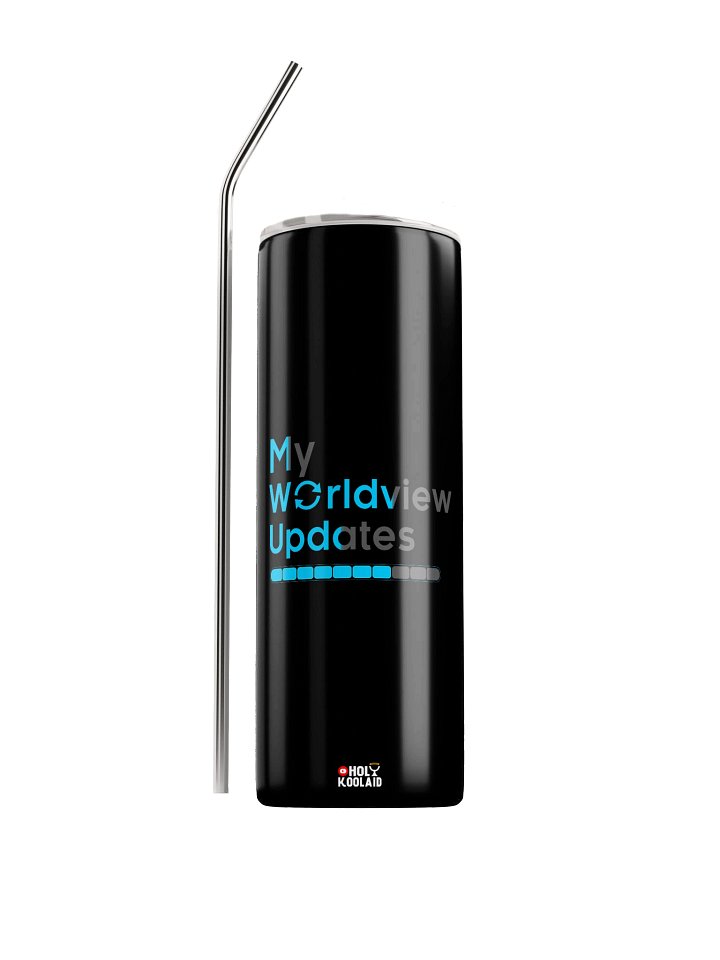 My Worldview Updates - Stainless Steel Tumbler product image (1)