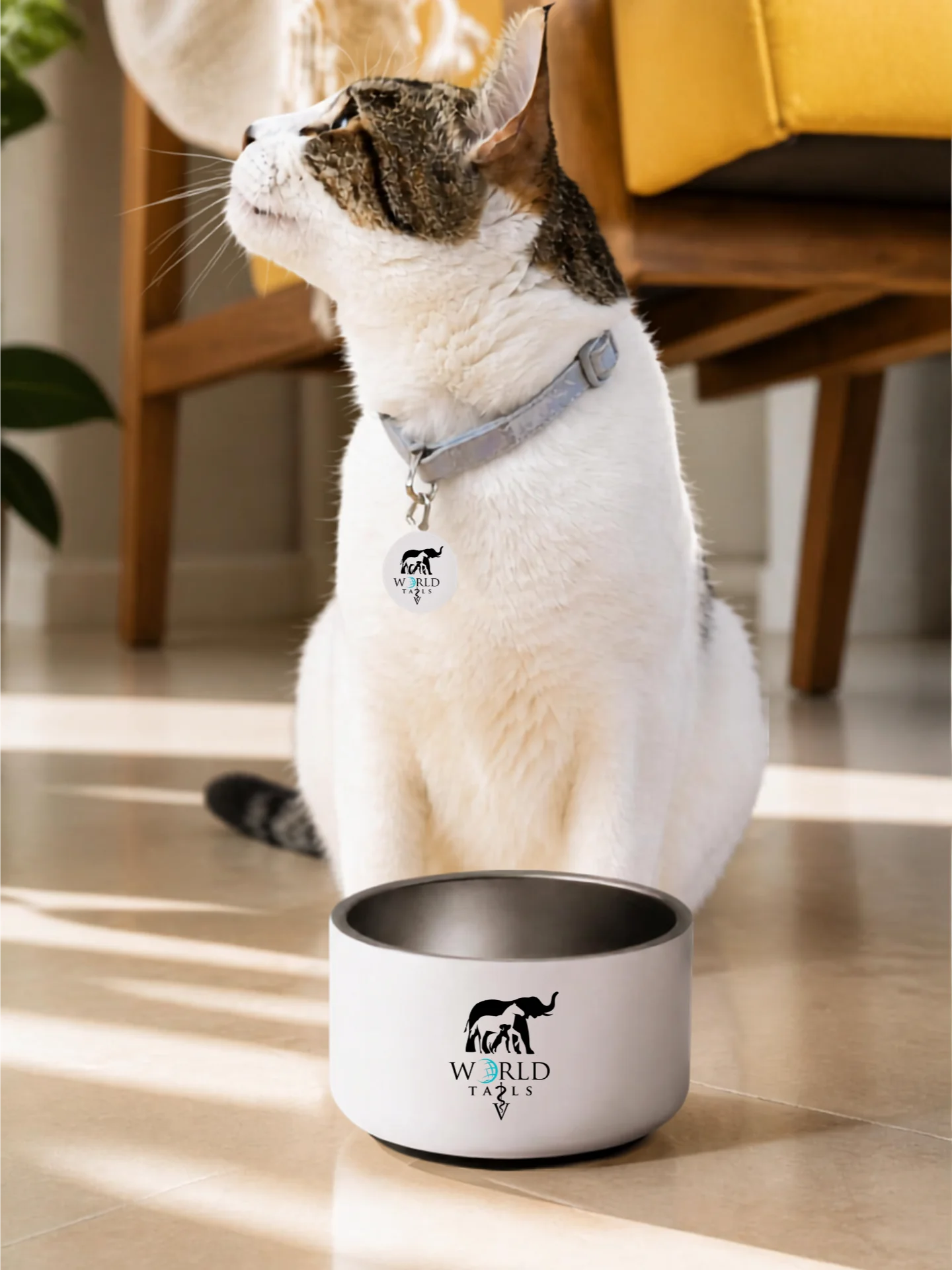 Logo Pet Bowl product image (2)