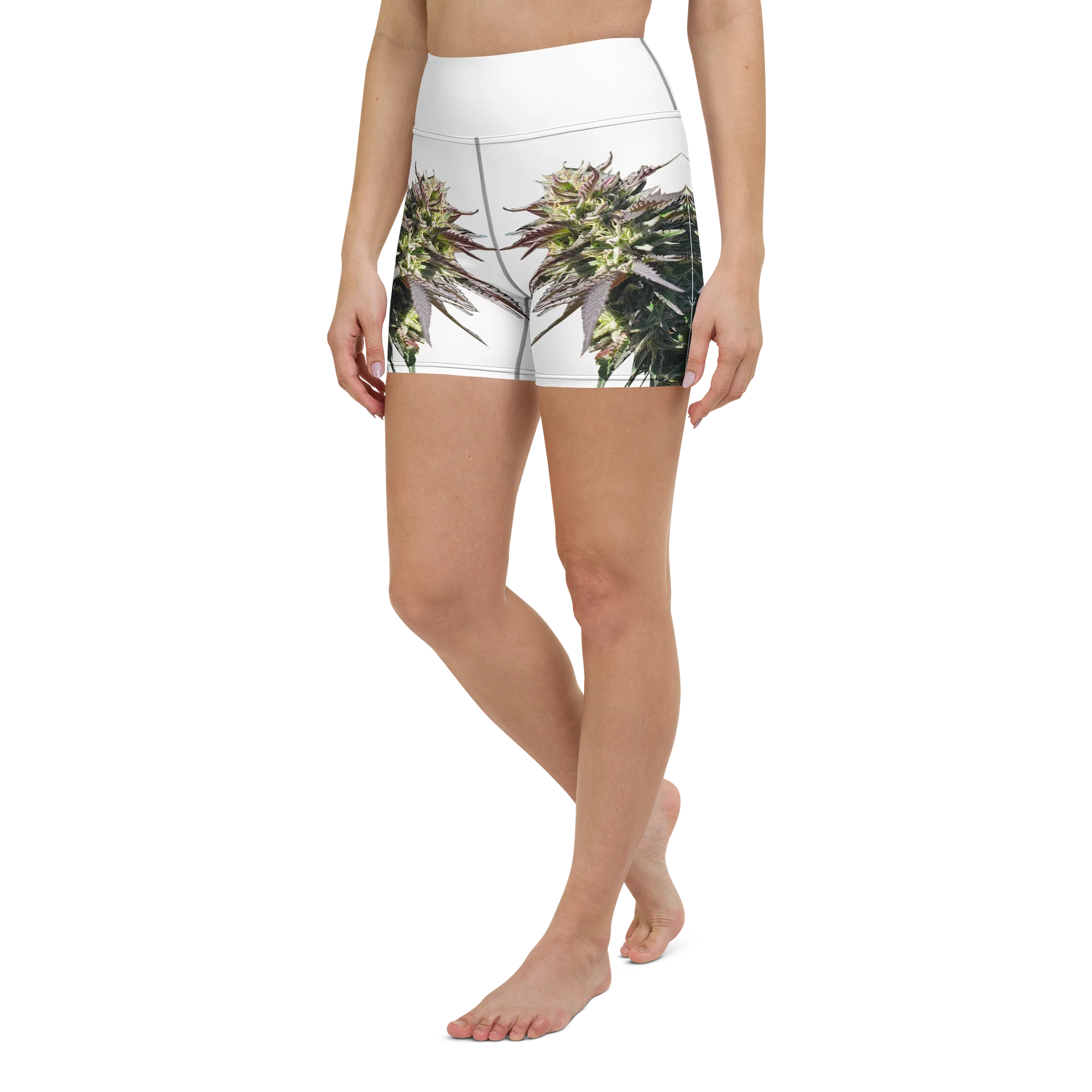 Herbaceus Sacer product image (5)
