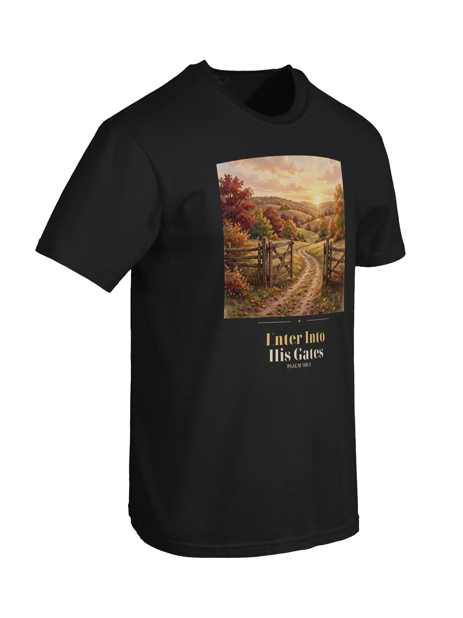 Enter Into His Gates Tee product image (39)