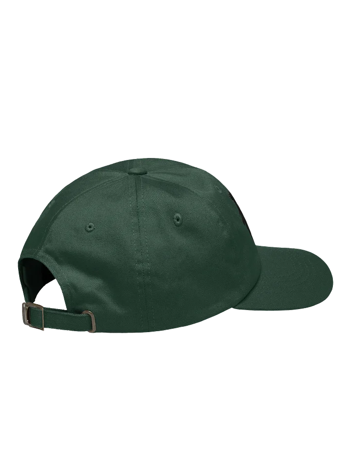 Birds Of Pray Relaxed Hat product image (2)
