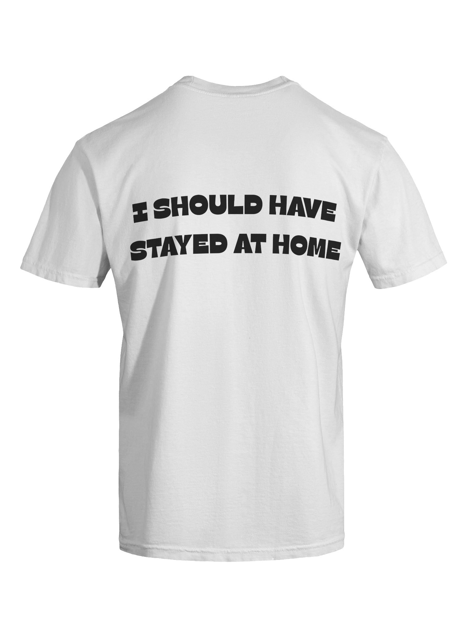 I Should've Stayed At Home T-Shirt product image (19)