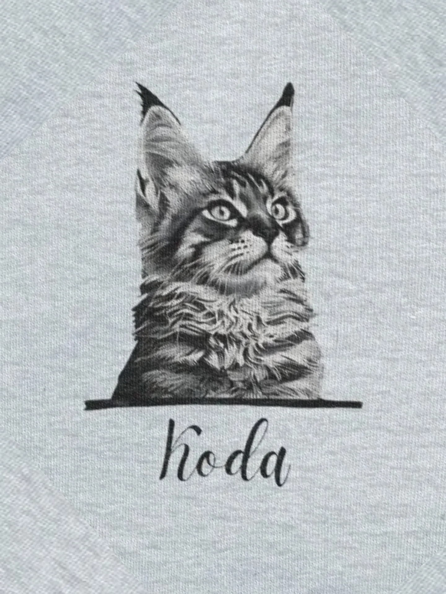 YOUR MAINE COON! / T-SHIRT WITH PERSONALIZED NAME product image (2)