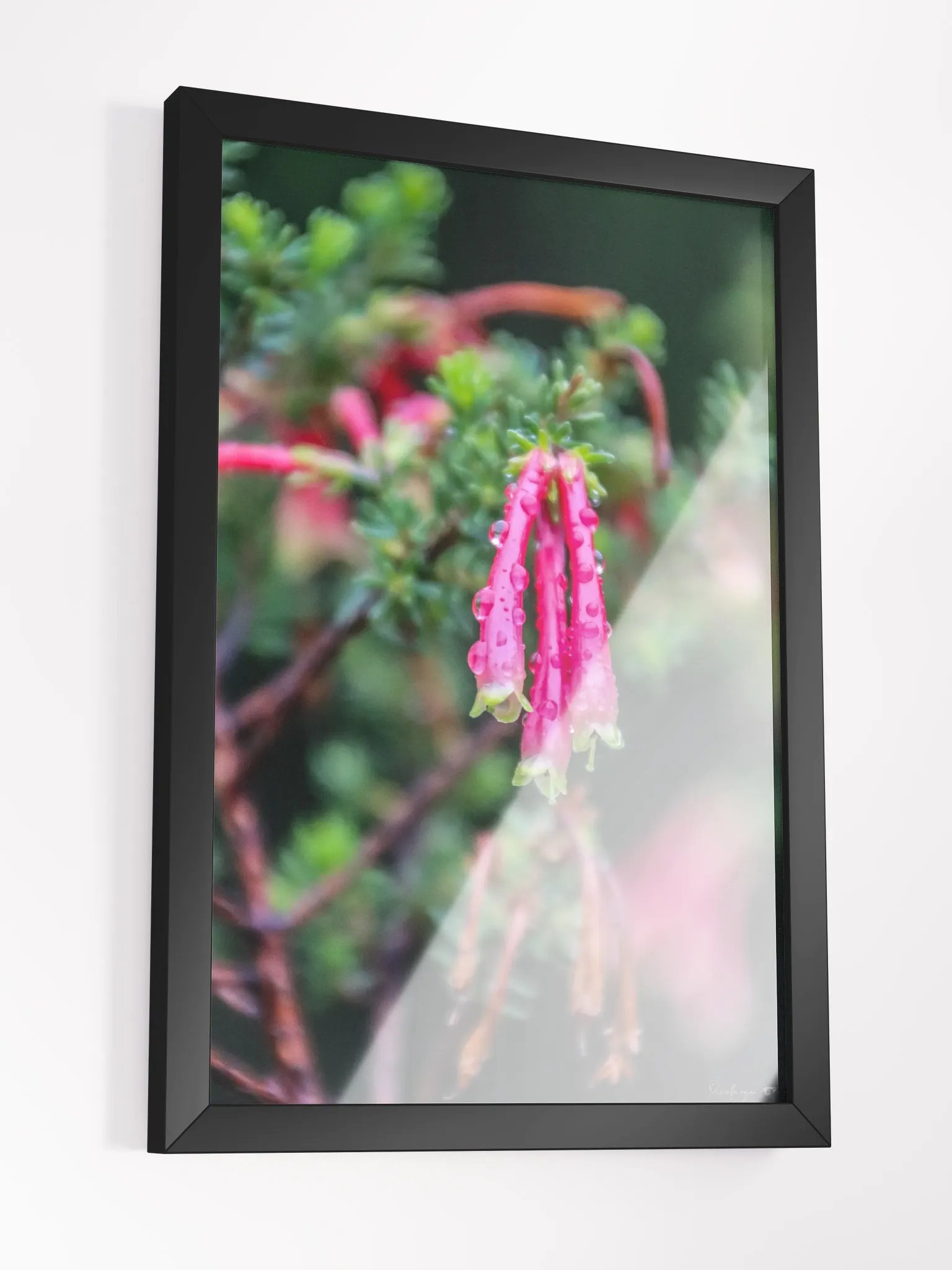 Print Fine Art - Velvet Ember 🌿 product image (6)
