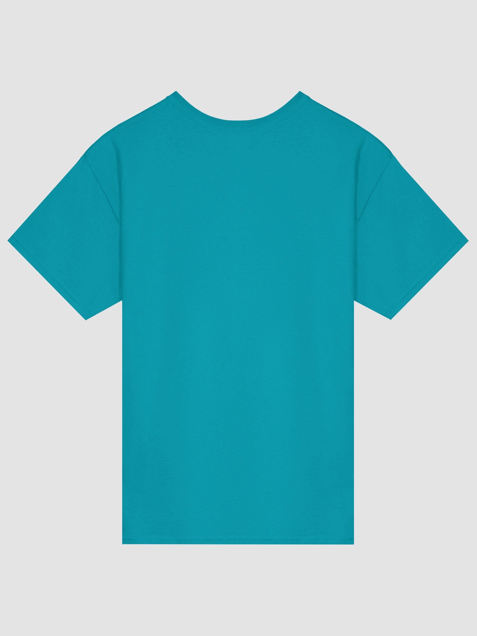 All I want are snuggles but all I get are struggles raccoon T-shirt product image (3)