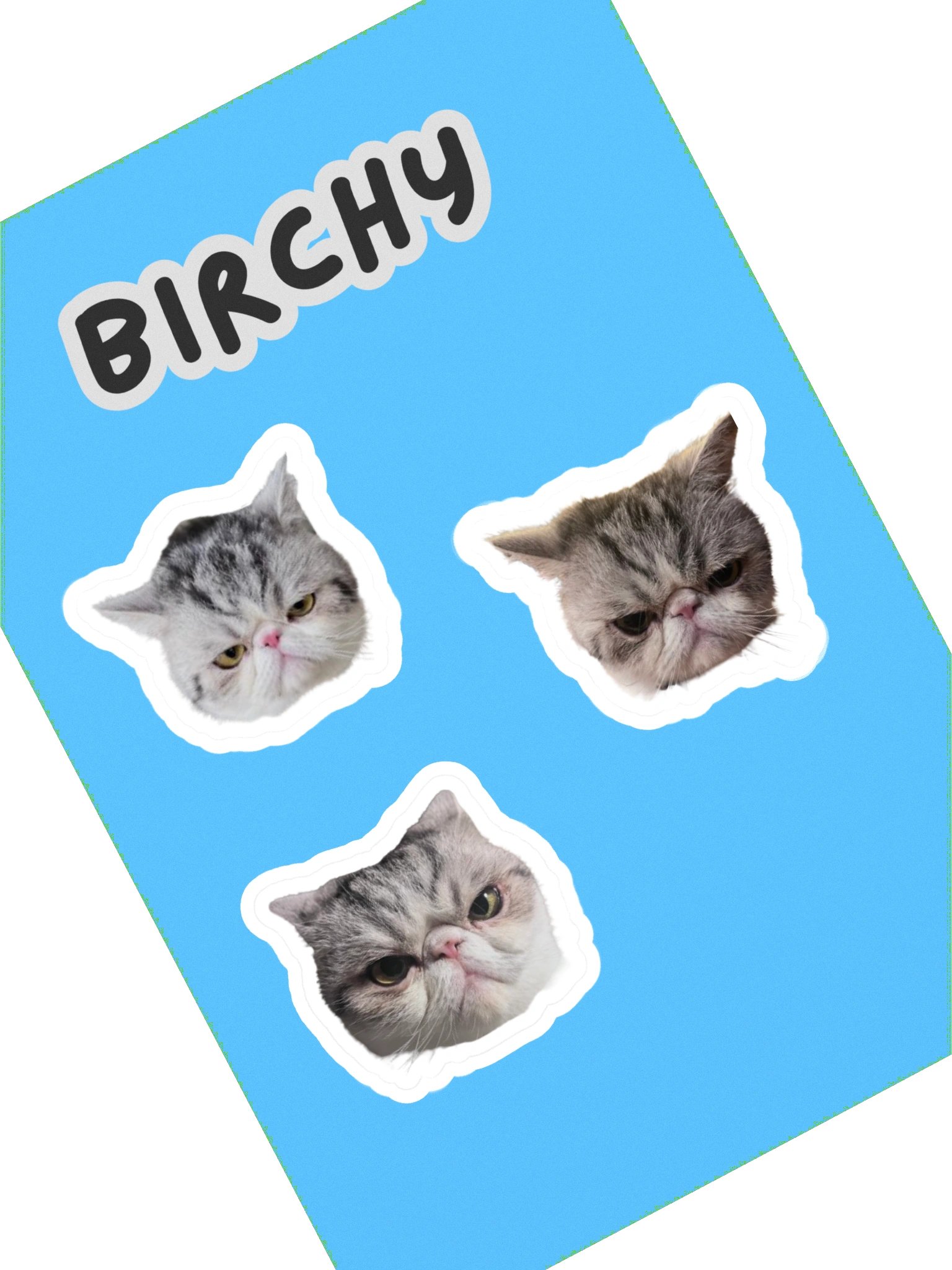 Real boy Birchy sticker sheet product image (1)
