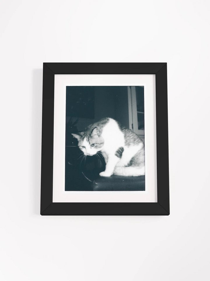 Wendell B&W product image (1)
