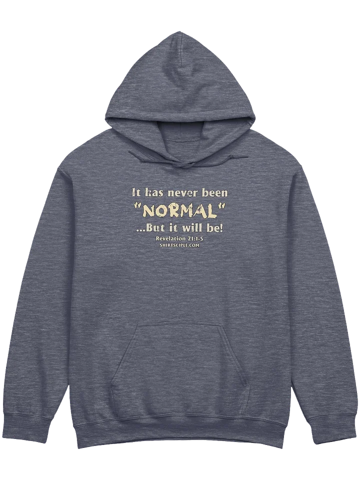It has never been normal Hoodie product image (1)