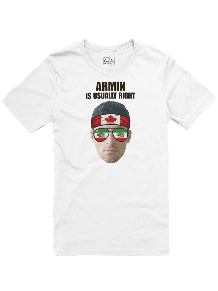 Armin is Usually Right product image (1)