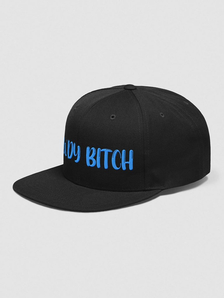 Howdy Bitch Cap product image (6)