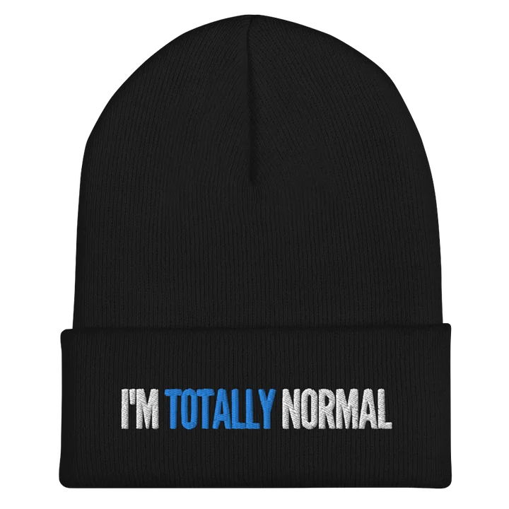 Totally Normal Beanie product image (1)