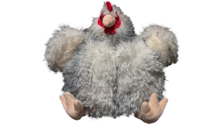 Young Chicken Chalk Bucket product image (2)
