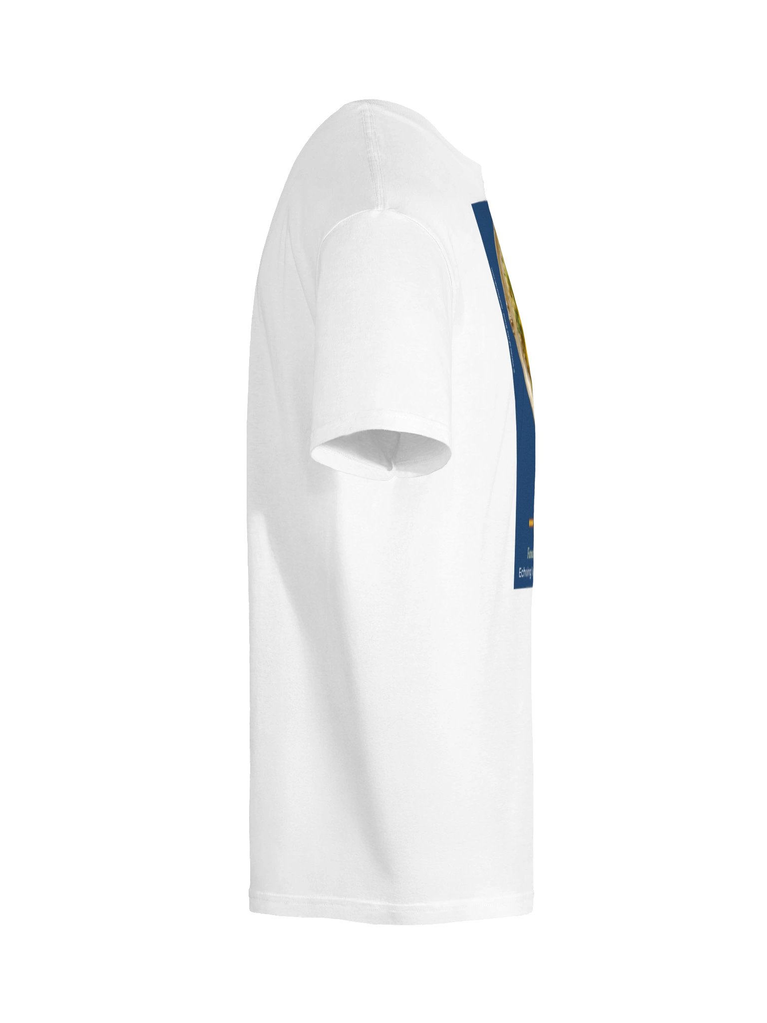 The Lamb (Bāghālī Polo bâ Gardan) product image (16)