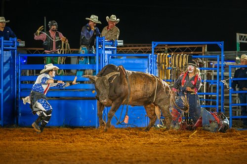 Bull Rider Down: Rodeo Clown Steps In at Sheriff Posse Rodeo