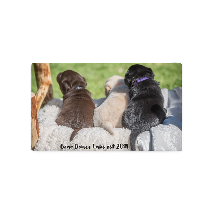 Pillow with Puppies product image (1)