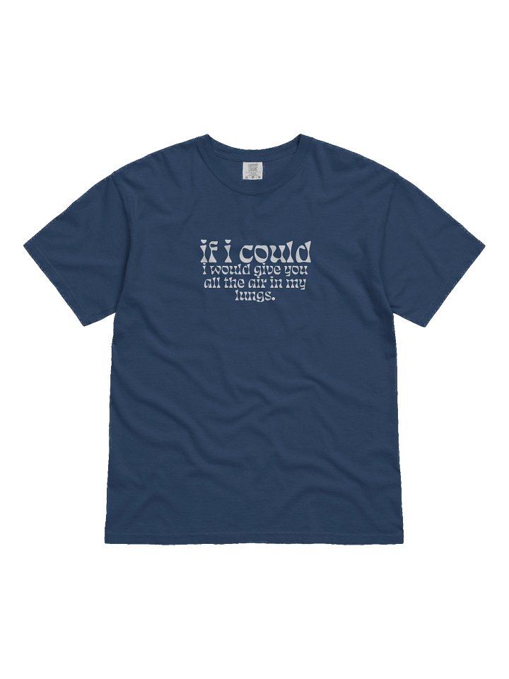 If I Could Lyric Tee Mk II product image (1)