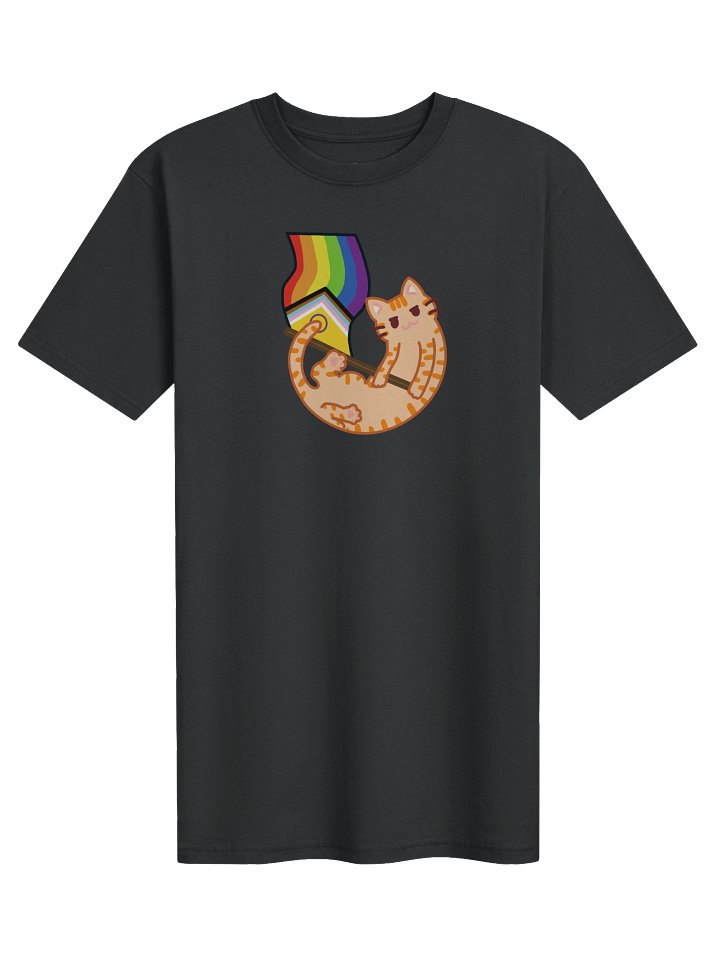 Haku Pride Tee product image (1)