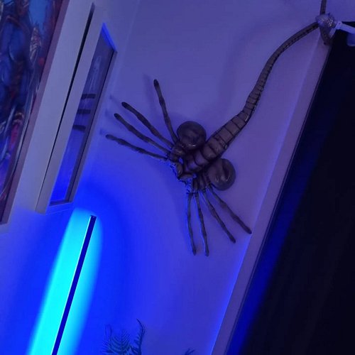 Might be a struggle to get in and record things now, with this ugly m'fer hanging on the wall...
Received this in the PO Box ...
