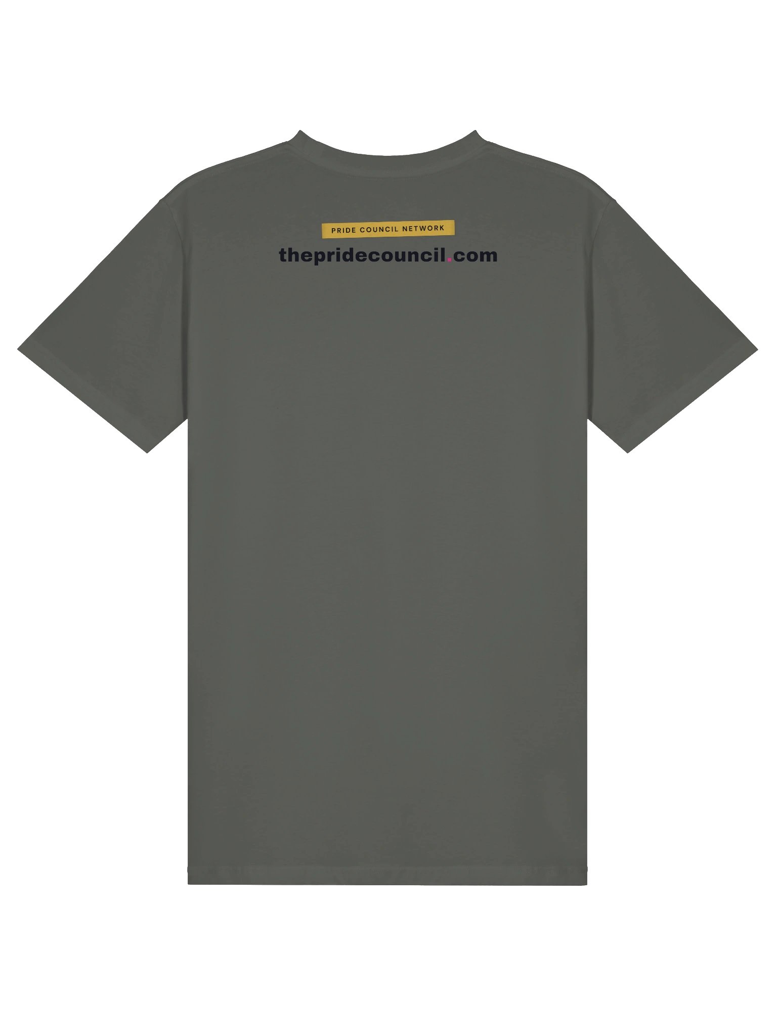The PCN Campaign Tee - Black product image (6)
