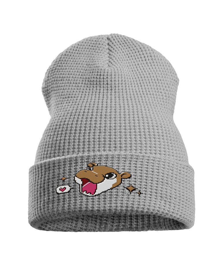 CHONKIE BEANIE product image (1)