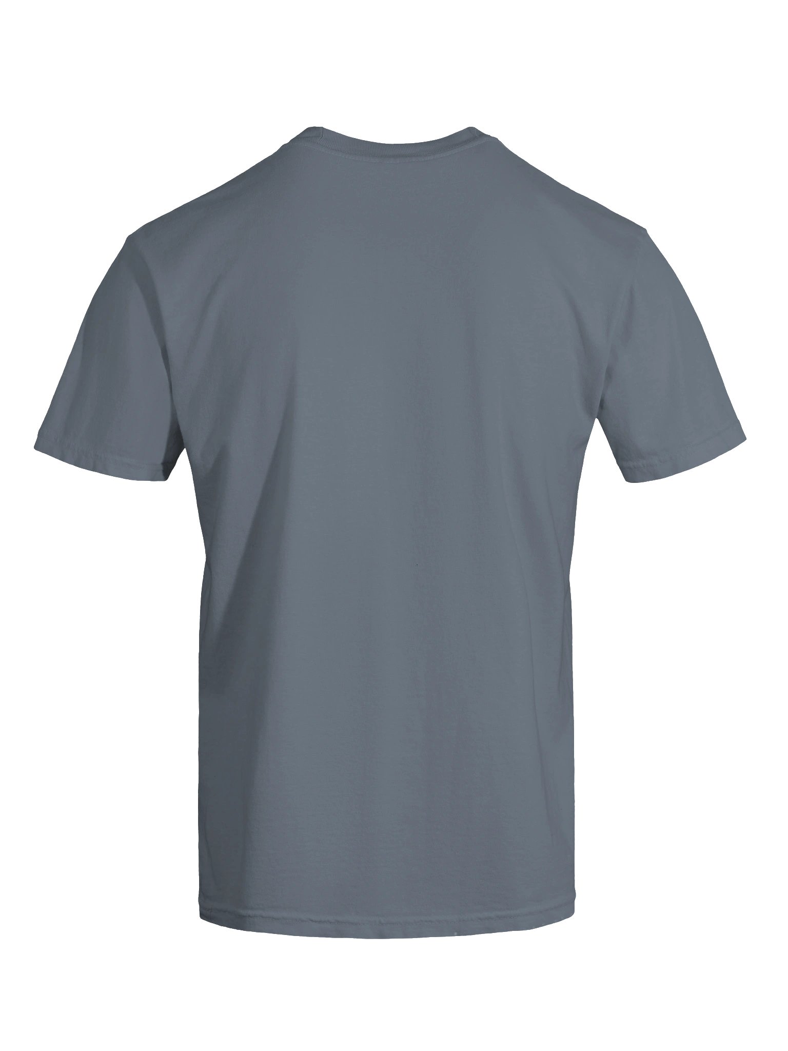 PIBRY Classic Logo Tee product image (31)