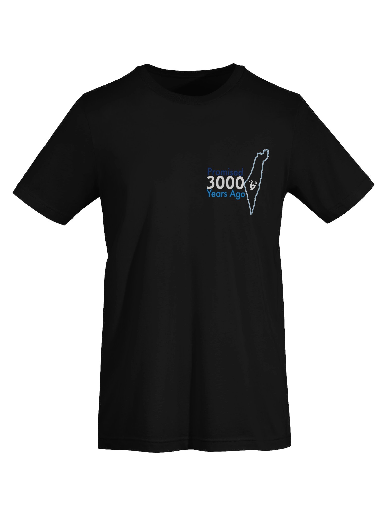 Promised Tee product image (21)