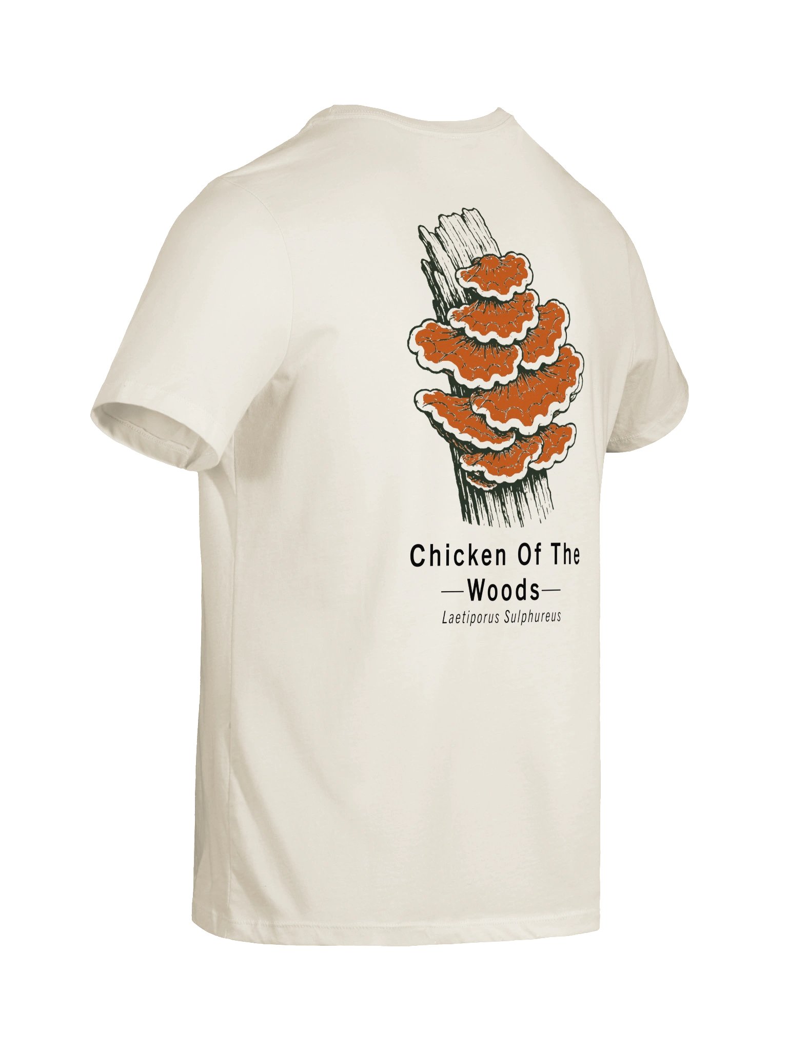 Chicken of the Woods Women’s Relaxed Tee product image (10)