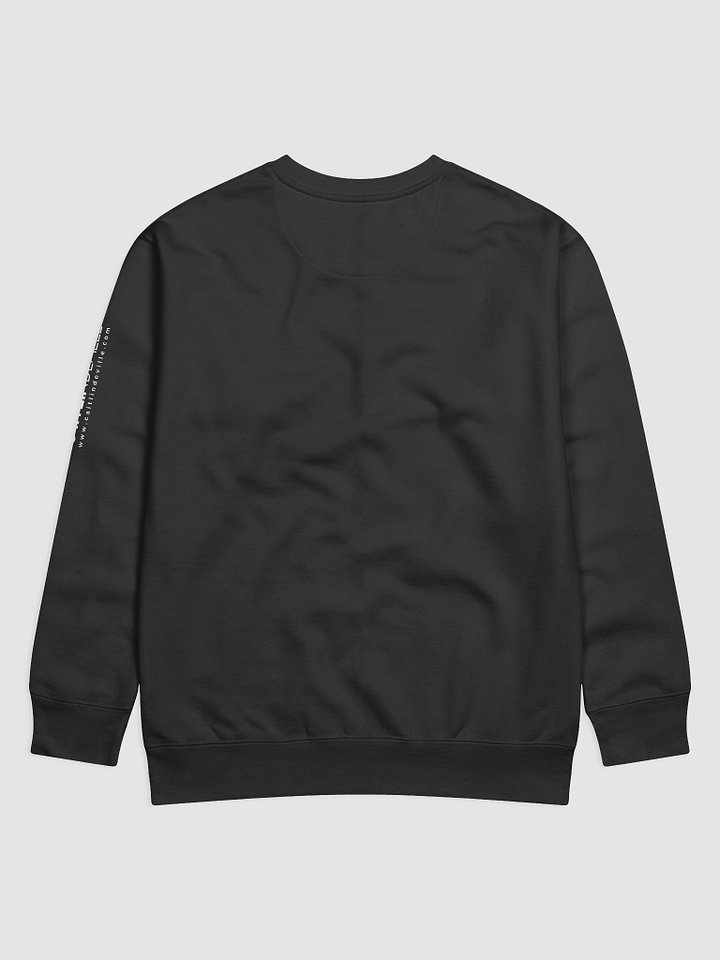 She's a Pirate! Sweatshirt product image (2)