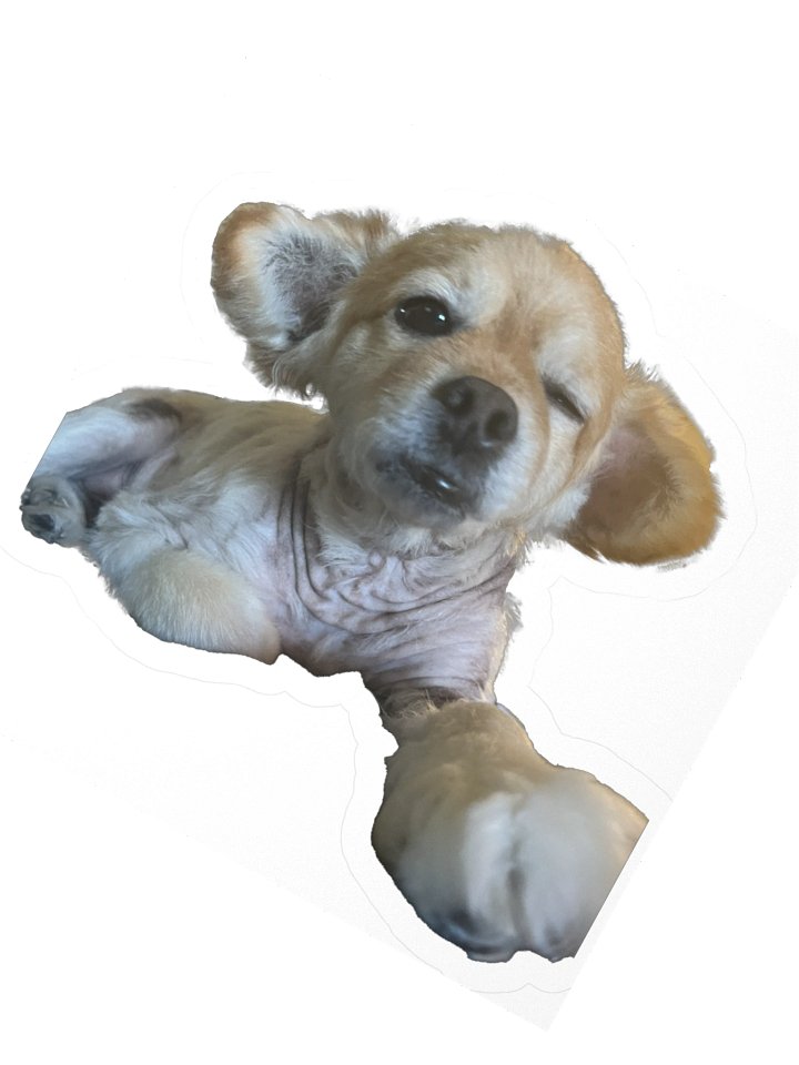 I'm going to hold your hand when I say this product image (5)