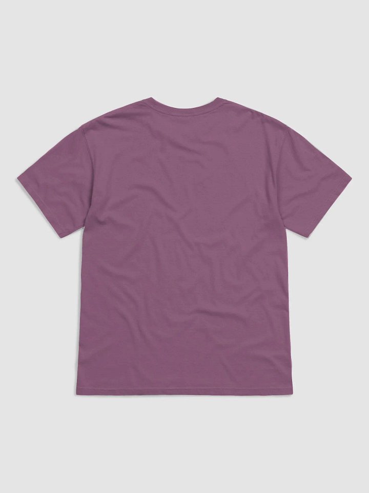 Emerge comfort colors heavyweight organic cotton t-shirt product image (2)