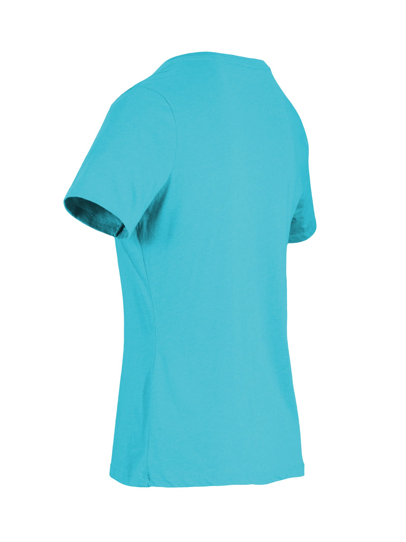 Black Tapir Women's V-Neck Horse Tee product image (9)