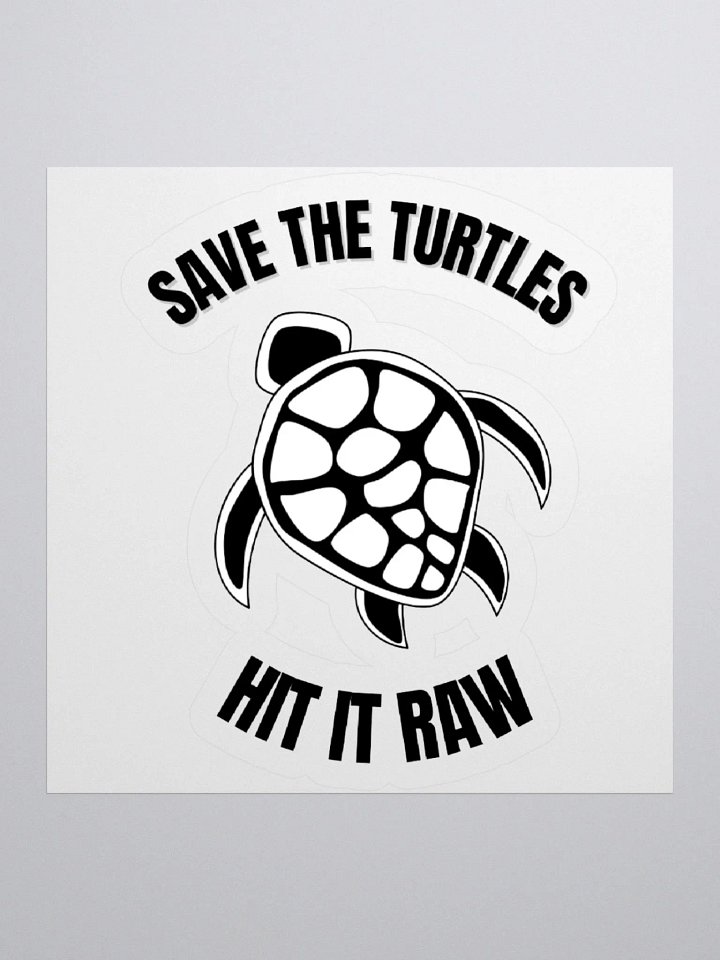 Save The Turtles Hit It Raw Sticker product image (1)