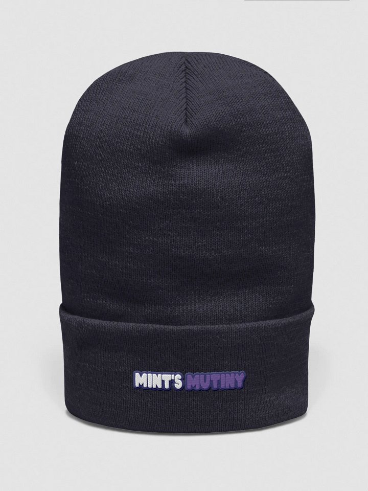 Mint's Mutiny Beanie product image (1)