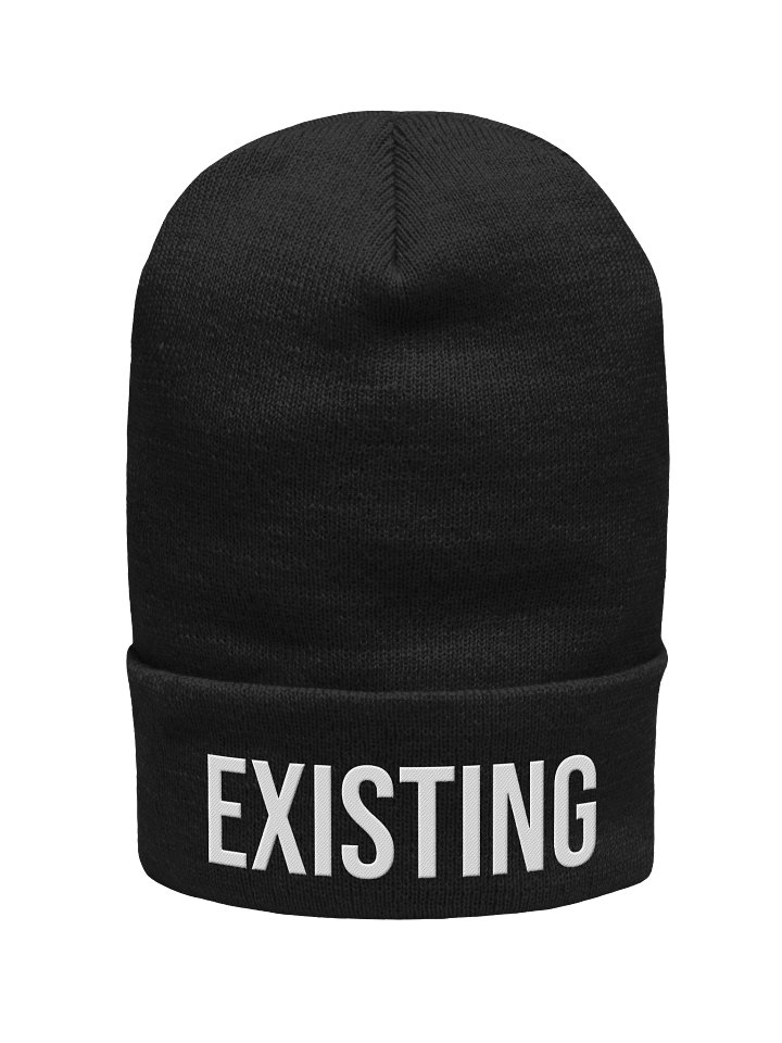 Existing Beanie product image (5)
