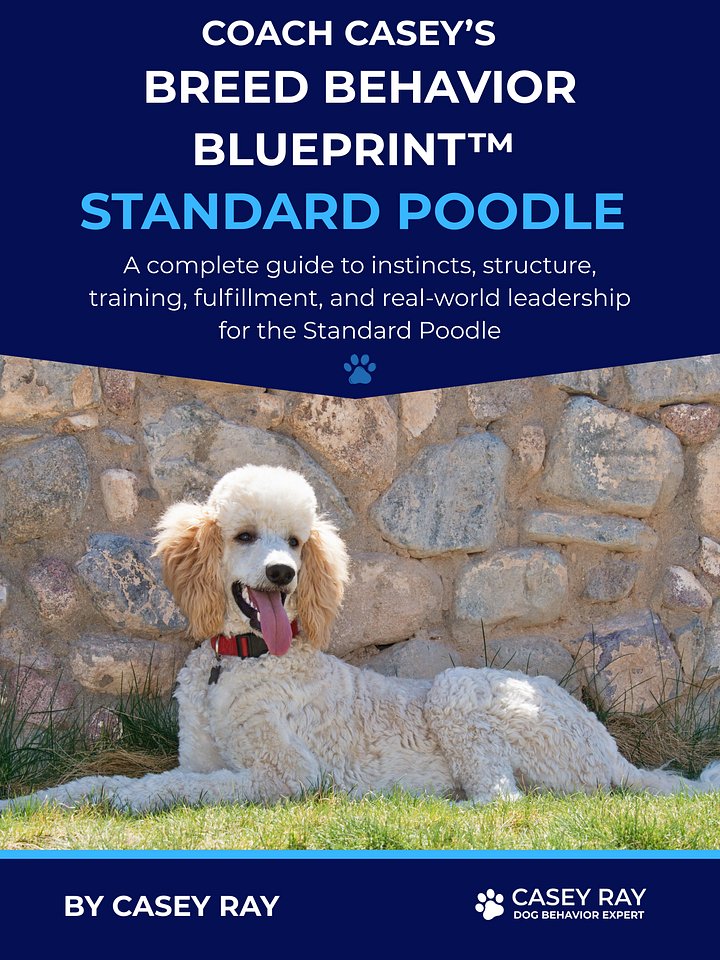 Coach Casey’s Breed Behavior Blueprint™ - Standard Poodle product image (1)