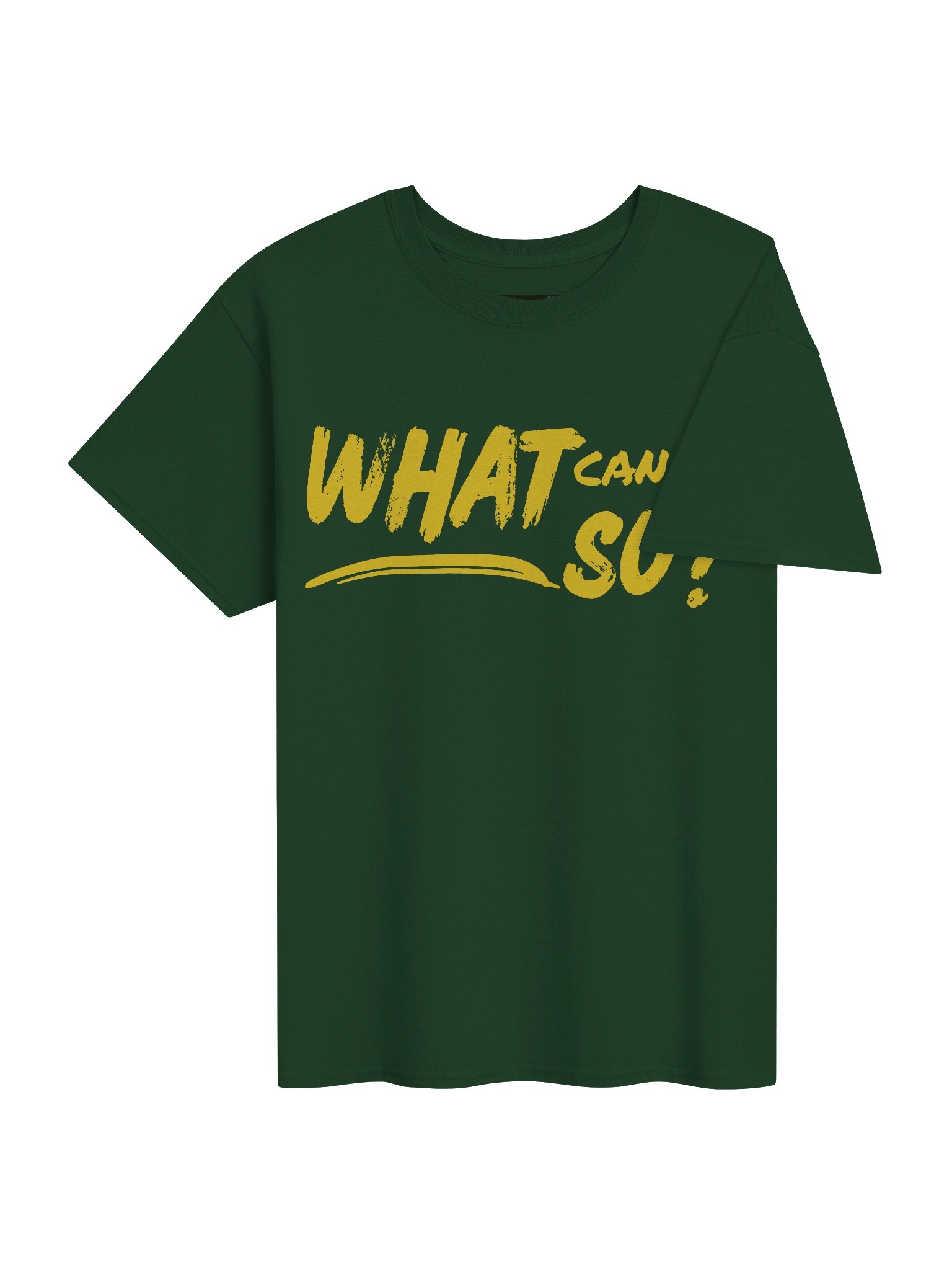 What Can Go So? T-Shirt product image (4)