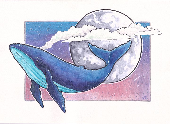 Full Moon Humpback Whale product image (1)