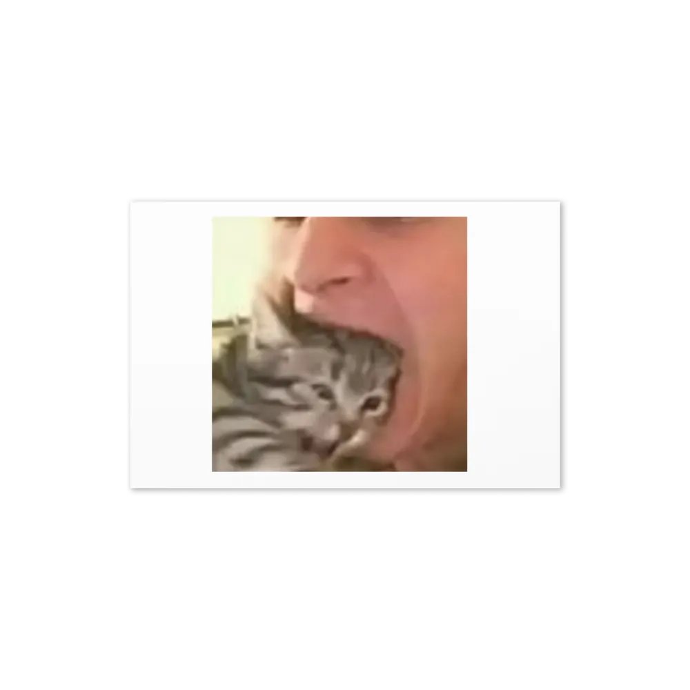 Greeting Card: Meme Cats product image (22)